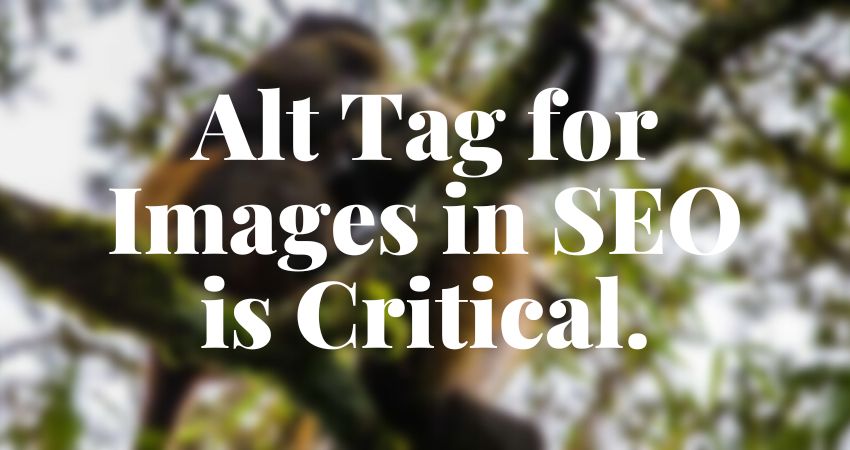 Adding Alt Image Text