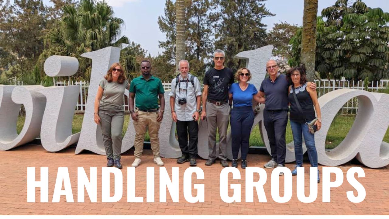 Handling Group Tours