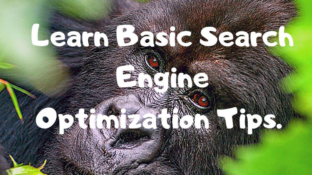 Basic Seo Tips