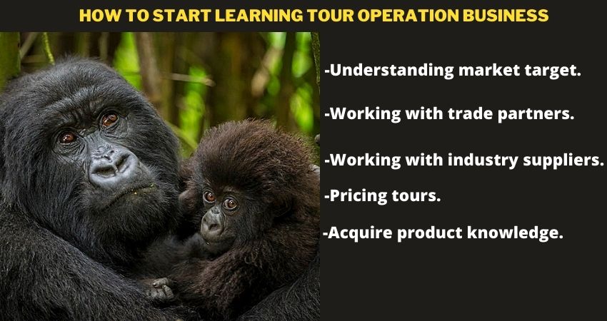 Learning Tour Operation Business