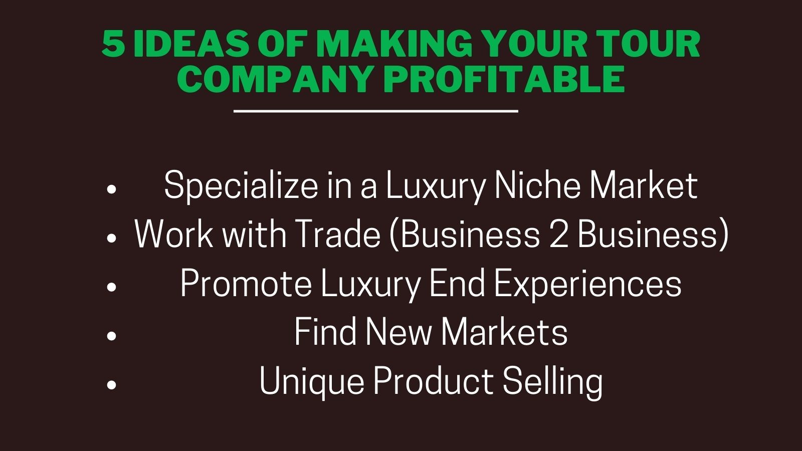 Make Your Tour Company Profitable